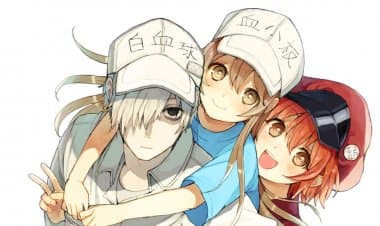 Hataraku Saibou Anime İncelemesi