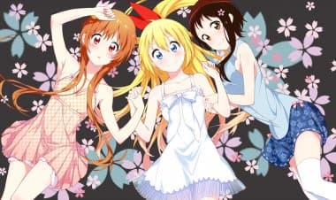 Nisekoi Anime İncelemesi