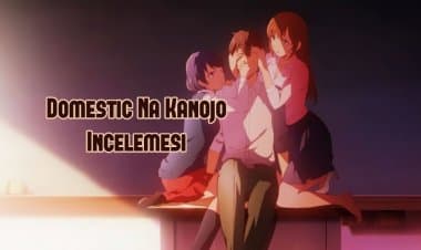 Domestic Na Kanojo İnceleme ve Eleştiri