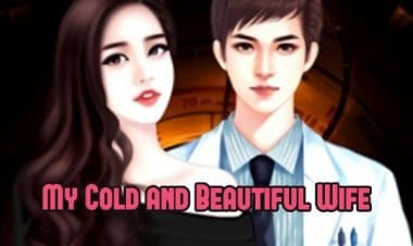 My Cold and Beautiful Wife Noveli Tanıtımı