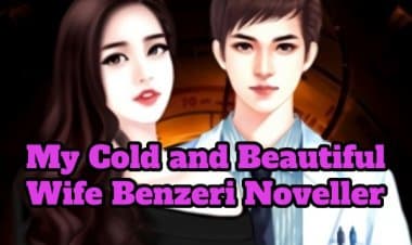 My Cold and Beautiful Wife Benzeri 5 Novel Önerisi
