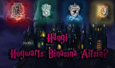 Hangi Hogwarts Binasındansın? Kişilik Testi!