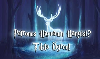 Harry Potter Evrenindeki Patronus Hayvanın Hangisi? Kişilik Testi!