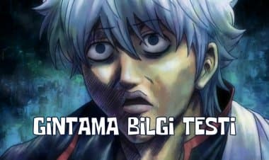 Gintama Bilgi Testi!
