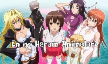 En iyi 20 Harem Anime Önerisi!