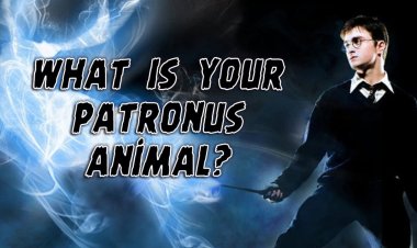 What is your Harry Potter Patronus Animal? Personality test!