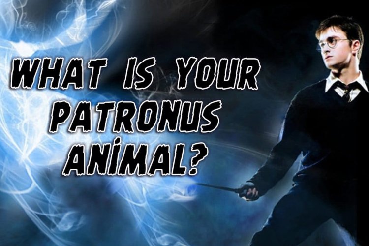 What is your Harry Potter Patronus Animal? Personality test!