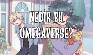 Nedir Bu Omegaverse Evreni?