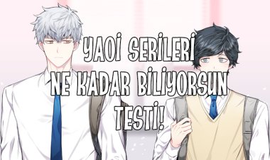 Konuları Verilen Yaoi Webtoon/Mangaları Tanıyabilecek Misin? Bilgi Testi (Yaoi)