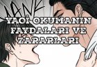 Yaoilerin Okunmasının Faydaları ve Zararları Nelerdir?