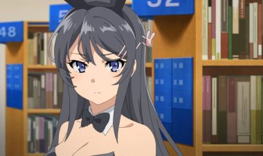 Who are the Bunny Girl Senpai Characters?