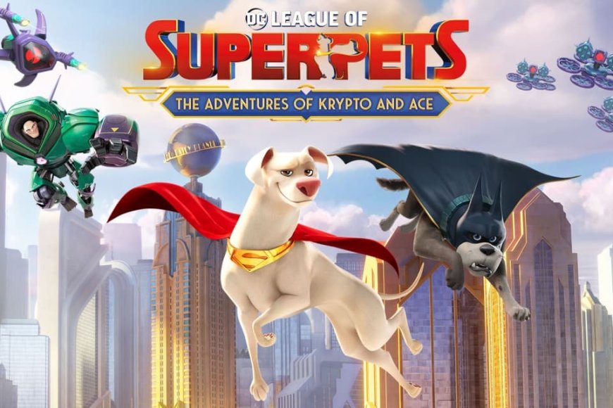 13.DC Süper Evciller Takımı (2022) (Evrene dahil değil)