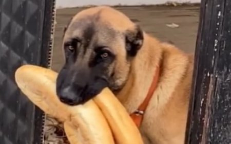 Ne Kadar Garibansın Testi! Kişilik Testi!