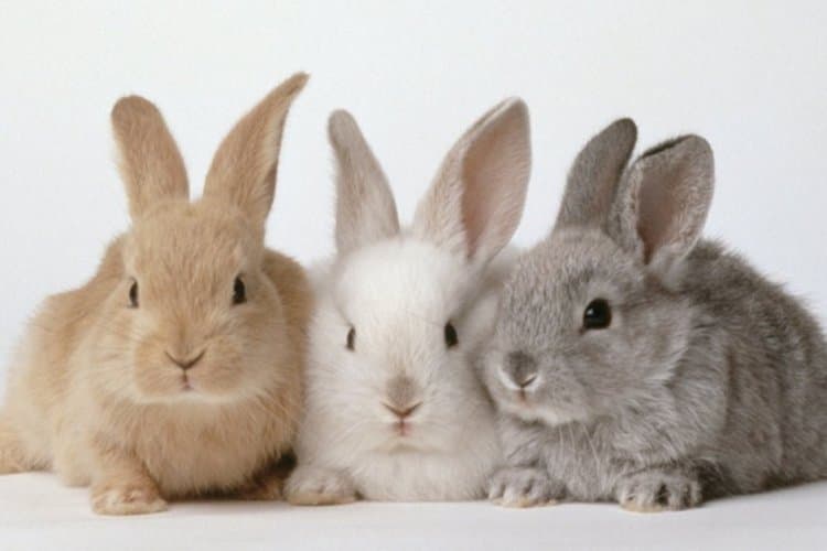 Hangi mevsimi tercih edersiniz?