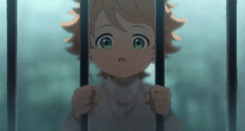 Diyelim ki ağaçlarla çevrili bir arazidesiniz ve belli bir yere kadar geçiş izniniz var,  sonrasına izniniz yok. Neden yasak olduğunu merak eder misiniz ?