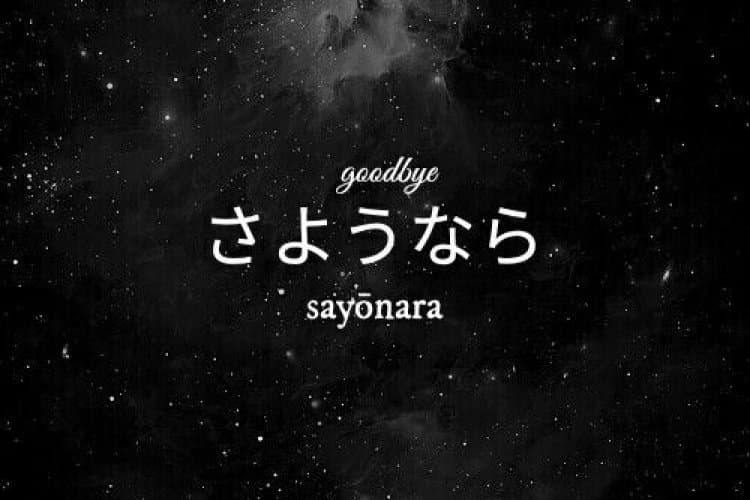 Bütün dilleri anlayabilseniz bunu ne amaçla kullanırdınız ? 