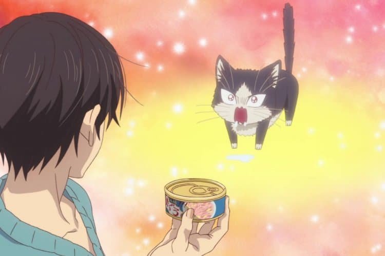 What kind of food do you prefer?