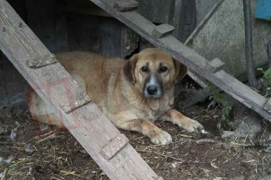 Arkadaşlarınızla bir yere gitmeyi planlıyorsunuz: