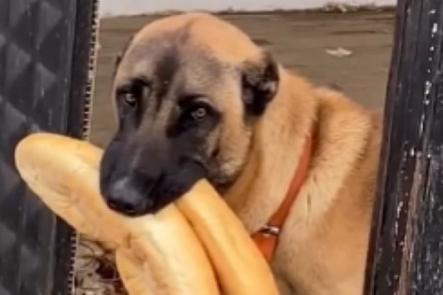 Bir arkadaşınızla kafeye gittiniz ve hesabı siz ödeyeceksiniz. Hesap geldiğinde