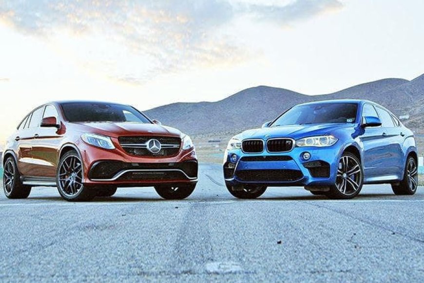 Arkadaşlarınla bir akşam yemeği planlıyorsun. Ne tür bir ortamda yemek yemeyi tercih edersin?